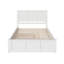 Amison Deluxe Queen Solid Wood Platform Bed with Trundle Bed-1566486107