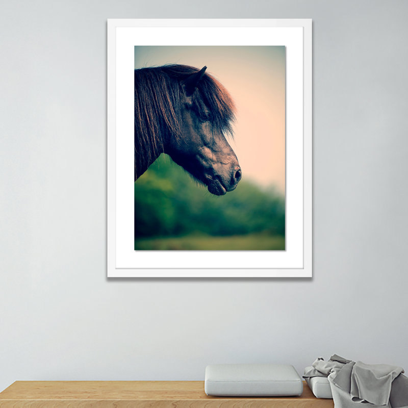 Horse Profile 5 Framed Photographic Print, 40" H x 31" W x 2.5" D, White