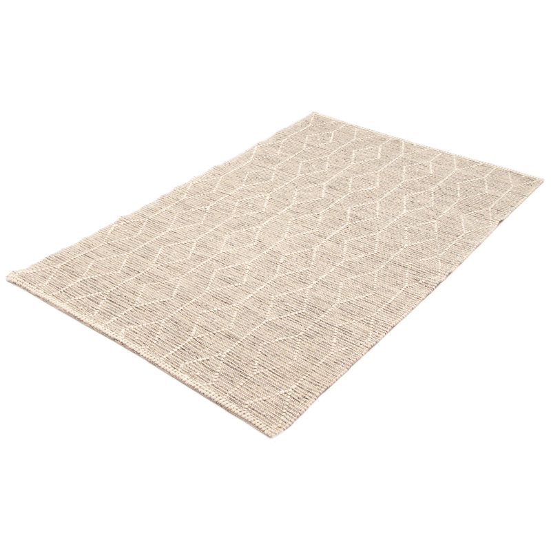 Iagulli Performance Hand Braided Wool Rug