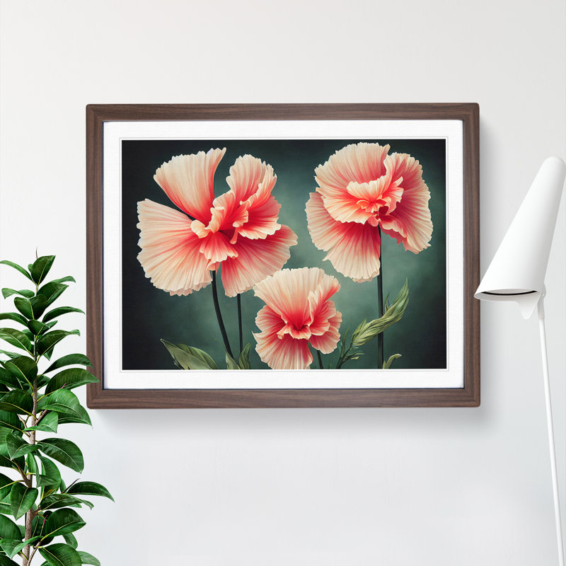 Pleasing Carnation Flowers - Single Picture Frame Print, Walnut Framed, 34cm H x 46cm W x 2cm D