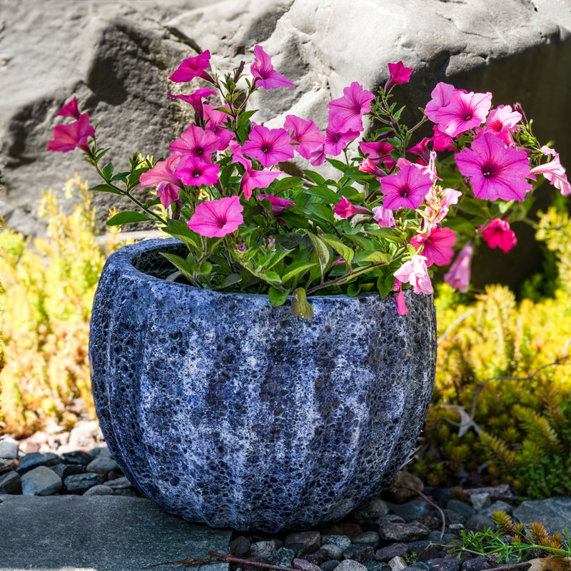 Kellor Ceramic Pot Planter, 11" H x 13.5" W x 13.5" D, 1