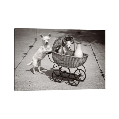 East Urban Home F73DB9373E3348D28D08E6CB8C435693