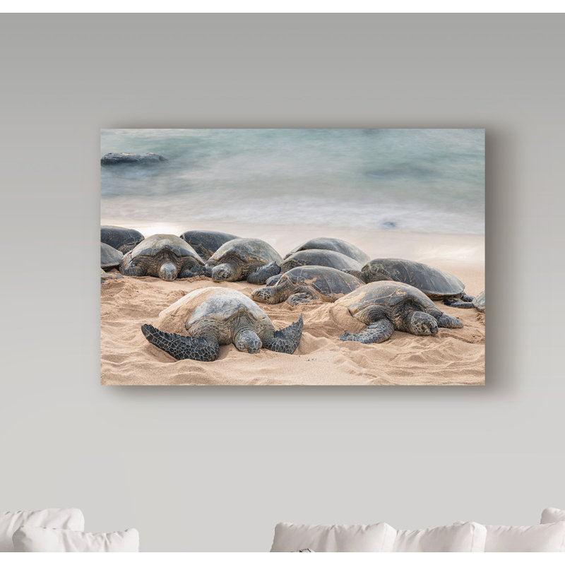 Fabrizzio «Lullaby of the Sea», reproduction de photo sur toile tendue, H 22 po x l 32 po x P 2 po