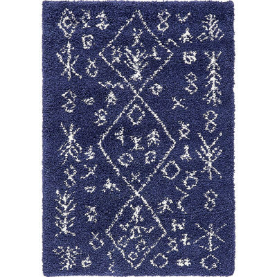 Southwestern Shag Area Rug