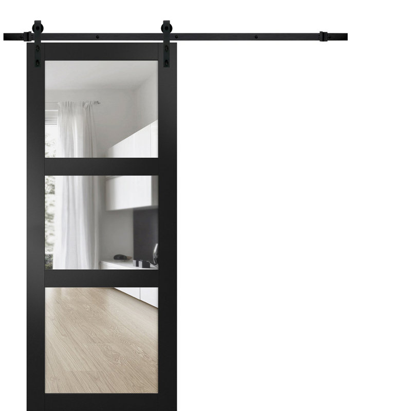 Porte de grange noire en verre transparent Lucia avec trousse de quincaillerie d'installation, Noir, L 28 po x H 84 po