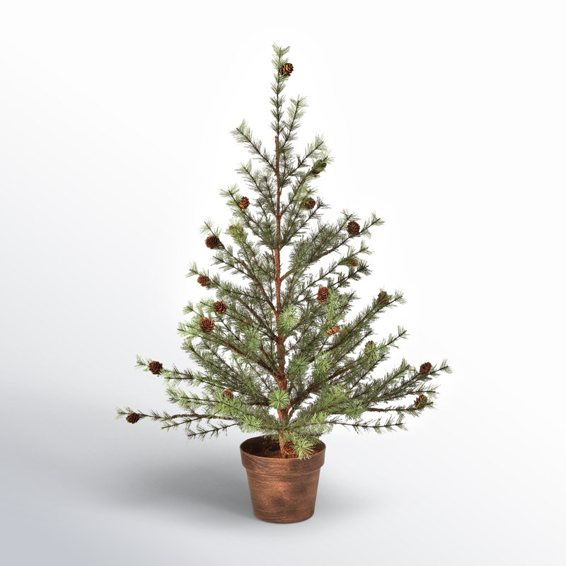 36" Potted Skip Pine Tree With Cone