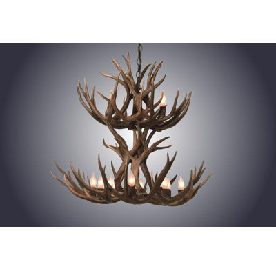 Isaac 12 - Light Chandelier