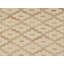 Geometric Area Rug in Beige