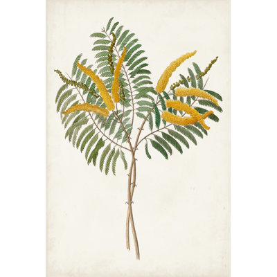 Botanical of the Tropics VIII - Painting