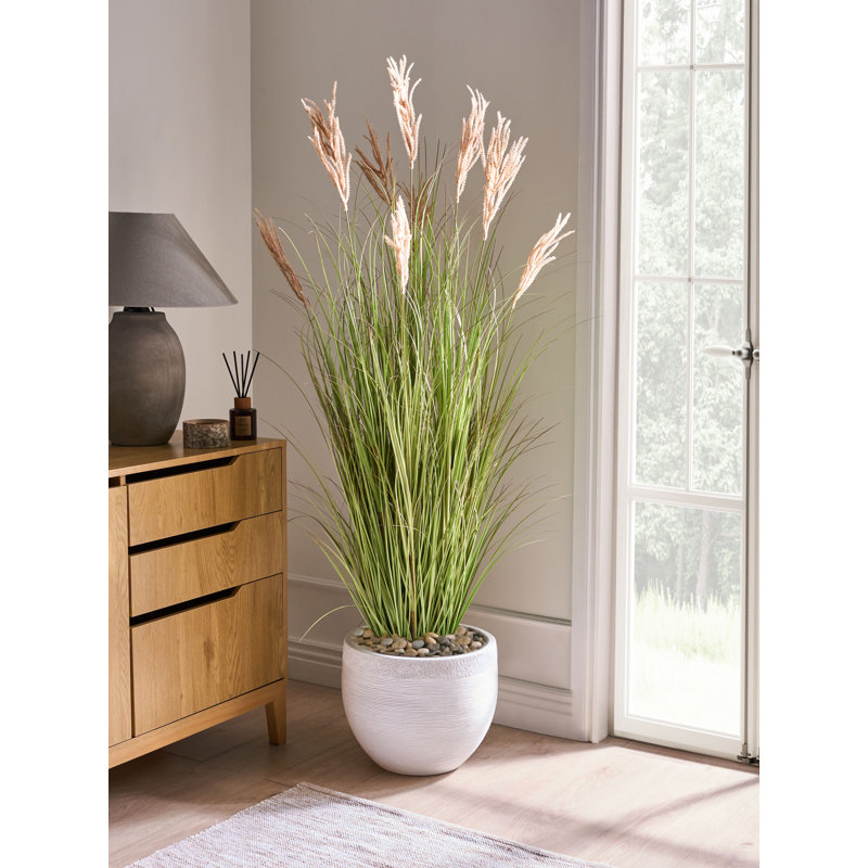 Arrangement in Pot