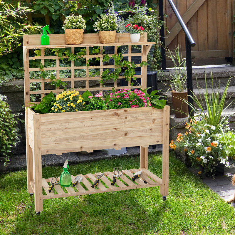 Lit de jardin surélevé avec treillis 41,5 x 16 x 54 po Donnie