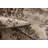 Anyce Floral Indoor Rug-1877216747
