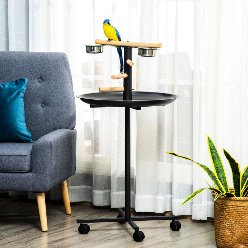 Meuble de jeu Bird
