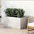 Planter Box-1744096460-1744096461