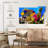 Brampt Queen Angelfish-107713293