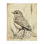 Toile rétro avec petits oiseaux, design par Petal Prints Design-1051078639
