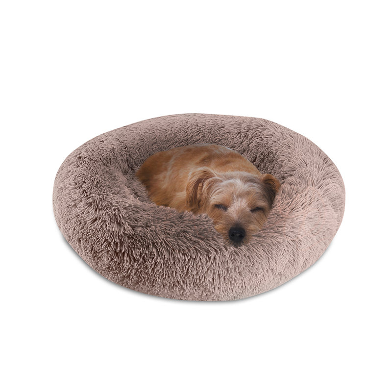 Coupland Orthopedic Polyester Pet Bed, Small (8" H x 22" W x 22" D), Blush