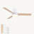 Amici Modern 48'' Flush Mount Ceiling Fan with LED Lights and Remote Control-93866032