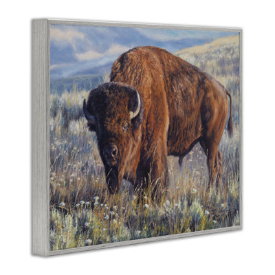 Bison des prairies, estampe numérique par David Graham
