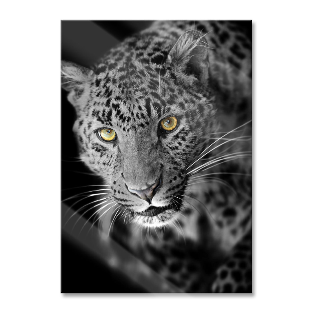 Glasbild Prächtig anmutiger Leopard