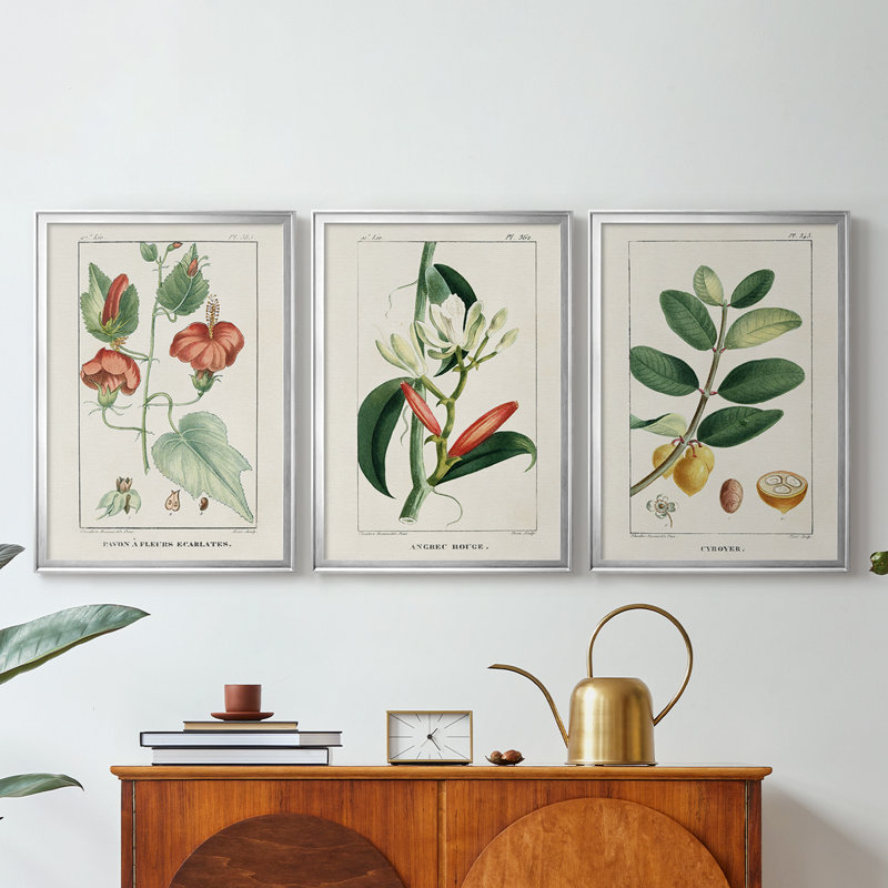 Turpin Tropical Botanicals IV - Toile tendue avec châssis sur mesure - 3 pièces, H 15 po x l 19 po, Argent argent