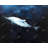Swimming Dolphin Blue Aquatic Braided Polyester Placemat