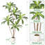 Faux Plant-1311593137