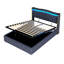 Danayjah Upholstered Bed-803665019-803665021