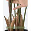 Plantes vertes en pot de plantes artificielles modernes