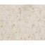 Hand-Knotted High-Quality Beige Area Rug