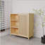 Armoire de rangement à porte simple de grande capacité avec tablettes dans les salons et les salles de bain