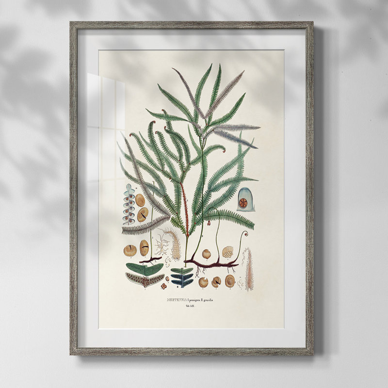 " Bright Boy II ", Yes, White, Distressed Silver Framed Paper