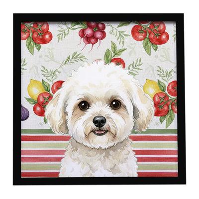 White and Cream Bichon Frise Vegetables Framed Metal Print