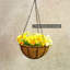 Kulas Hanging Planter
