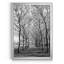 «Pier a Park» par J Paul - reproduction de photo sur toile encadrée-169382159-169382160