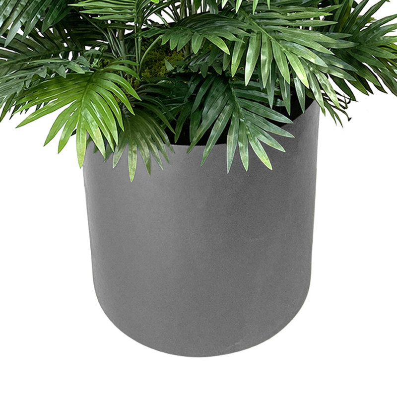 4' Areca Palm Bush In Fiberstone Planter