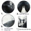 Papillon - Métamorphose monochrome - Décoration murale papillon-95867537-110959396
