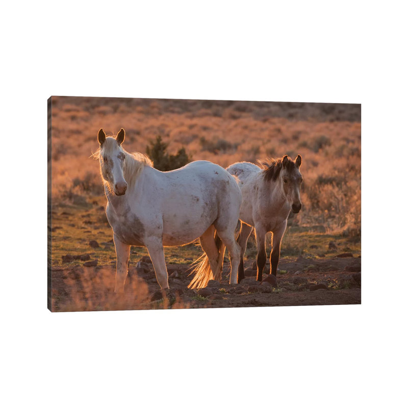 Wild horses at sunset 1 Piece Wrapped Canvas Wall Art, 101.6 cm H x 66.04 cm W x 1.91 cm D
