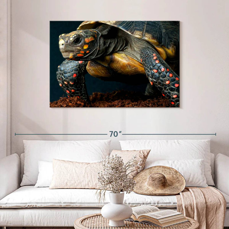 Brampt Amazon Red Footed Tortoise, 30" H x 45" W