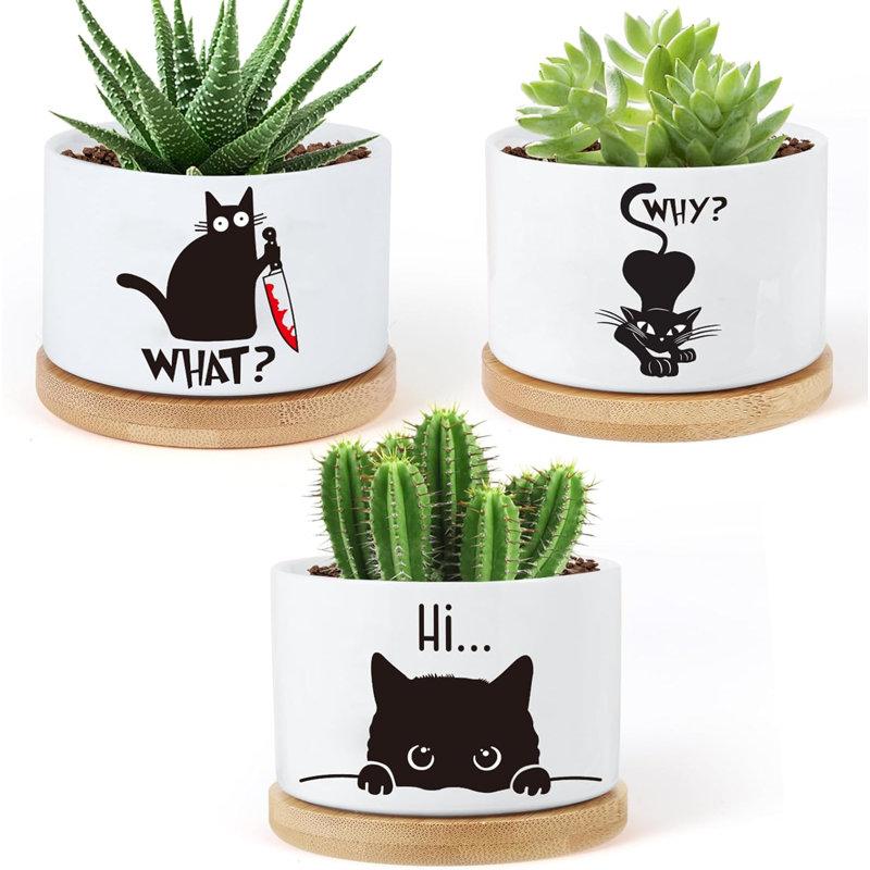Ensemble de pots à fleurs en céramique 3 pièces avec drain et soucoupes