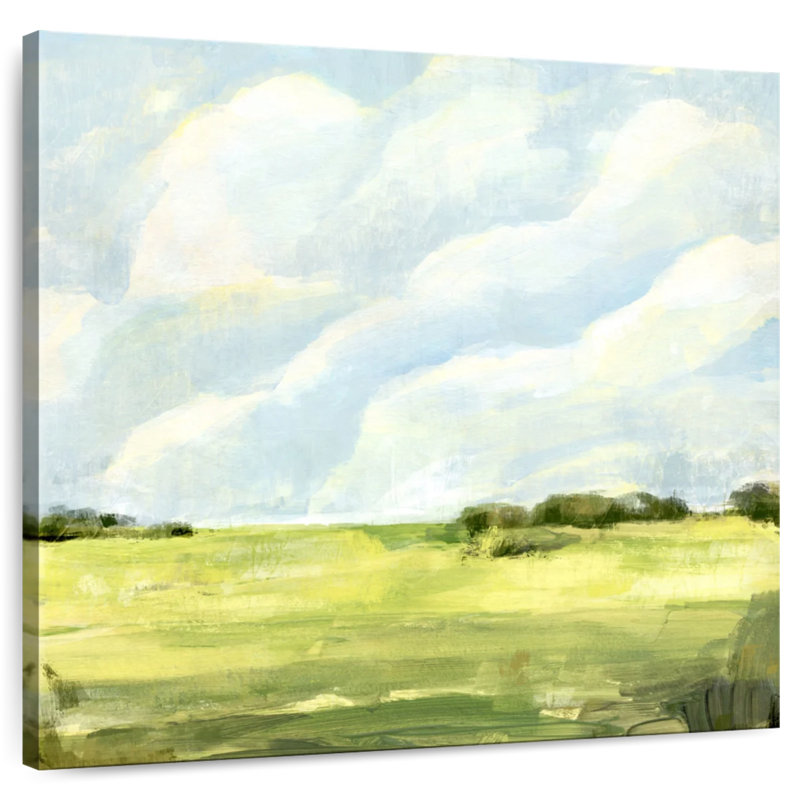 Alvord Open Fields I