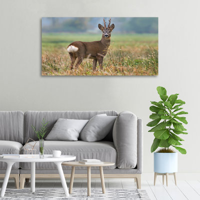 Roe - No Frame Print on Canvas