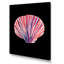 Coquillage sur fond noir - peinture-1009030883-1009030884