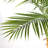 Artificial Palm Tree In A Pot A Set-1100543934
