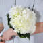 Hortensia Laidley-884635534