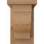Corbeau alpin avec contre-plaque-32526609-32526681-32526680