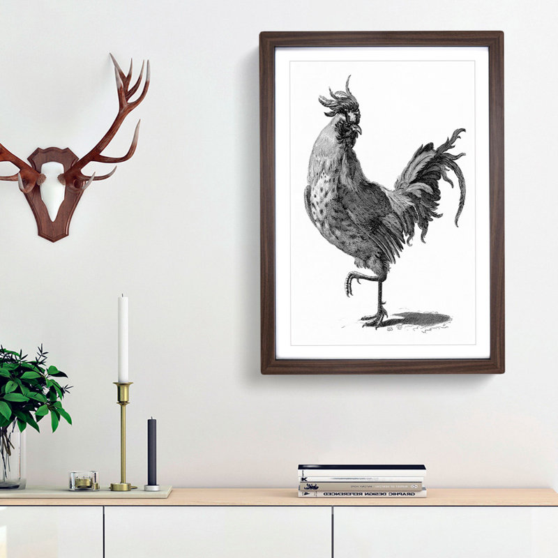 A Cock In Black And White by Johan Teyler - Single Picture Frame Print, 45cm H x 33cm W x 2cm D, Walnut Framed