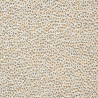 Stingray Fabric