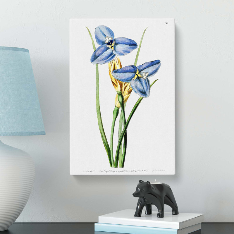 Blue Iris Flowers - Wrapped Canvas, 60 cm H x 40 cm W