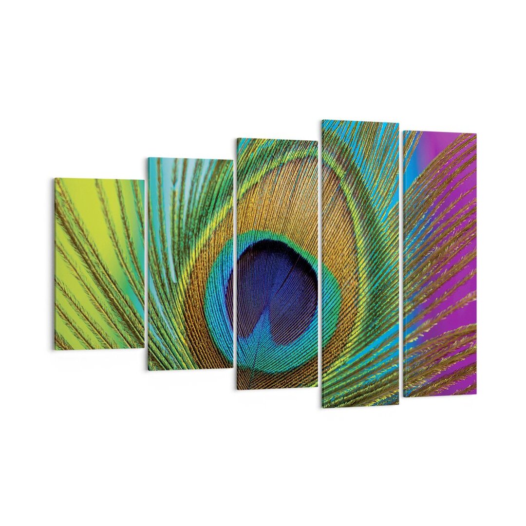 5-tlg. Leinwandbilder-Set Peacocks Feather Rainbow